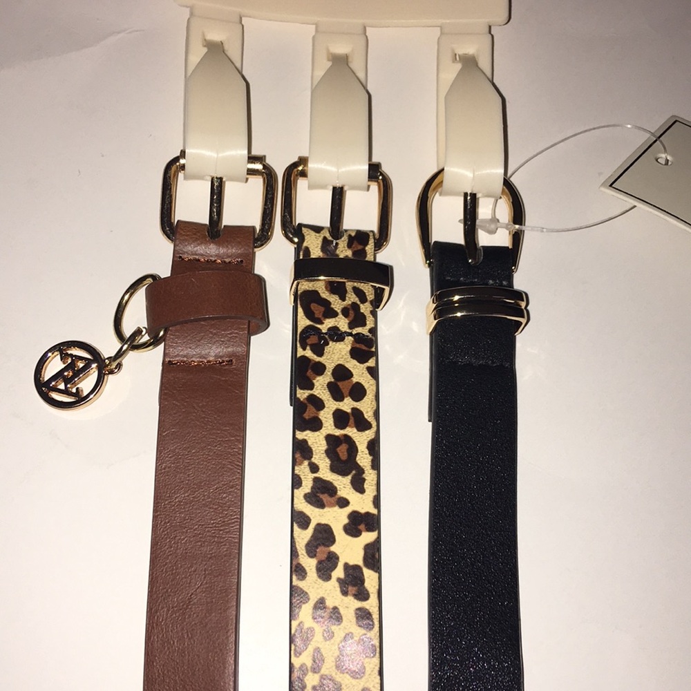 Adrienne Vittadini 3 Skinny  belts set